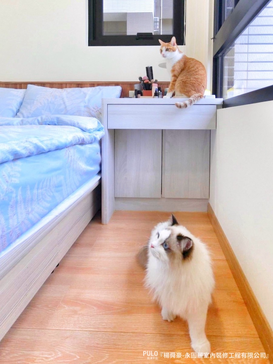 新北16坪裝潢,小坪數房屋打造高收納貓貓溫馨宅 - PULO裝潢平台 為了保留小坪數房屋的大採光,在落地窗前的區域不設置過多的收納櫃體,以引光入室的理念,放大客廳的視覺效果。 - PULO裝潢平台